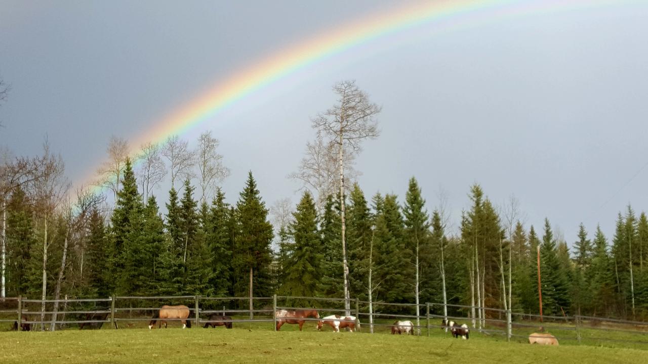 Bed and Breakfast Wettstone Guest Ranch Bridge Lake Екстер'єр фото