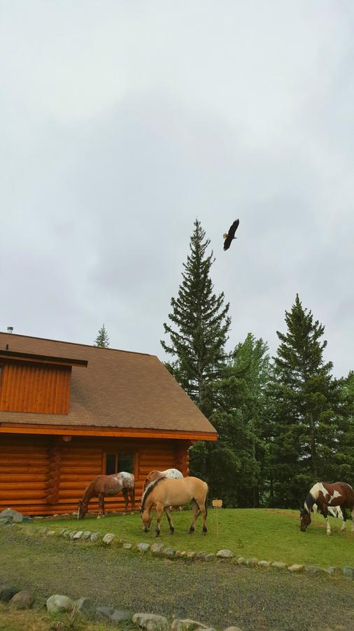 Bed and Breakfast Wettstone Guest Ranch Bridge Lake Екстер'єр фото