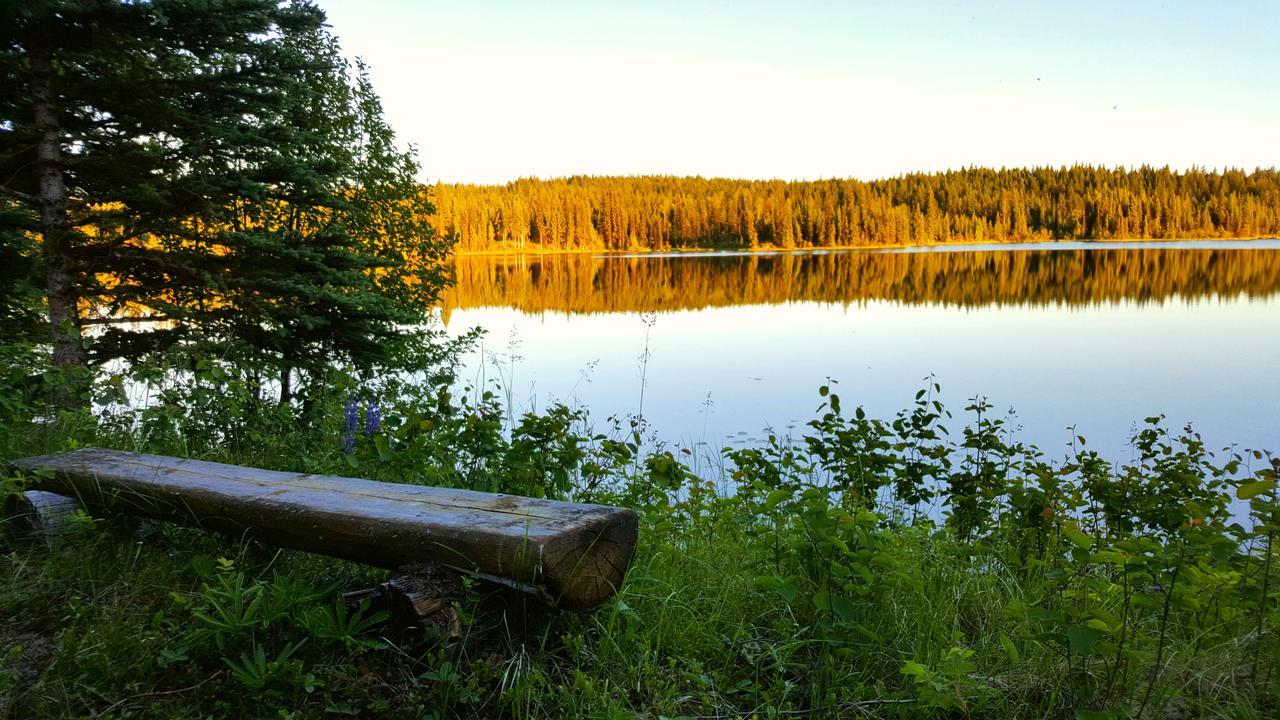 Bed and Breakfast Wettstone Guest Ranch Bridge Lake Екстер'єр фото