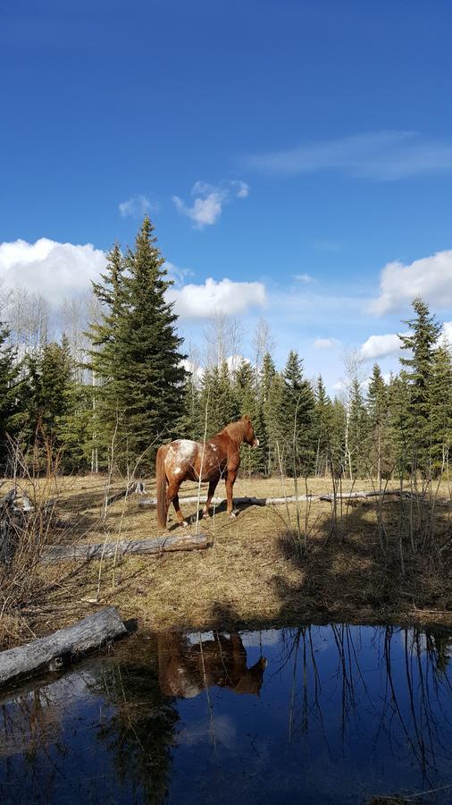 Bed and Breakfast Wettstone Guest Ranch Bridge Lake Екстер'єр фото