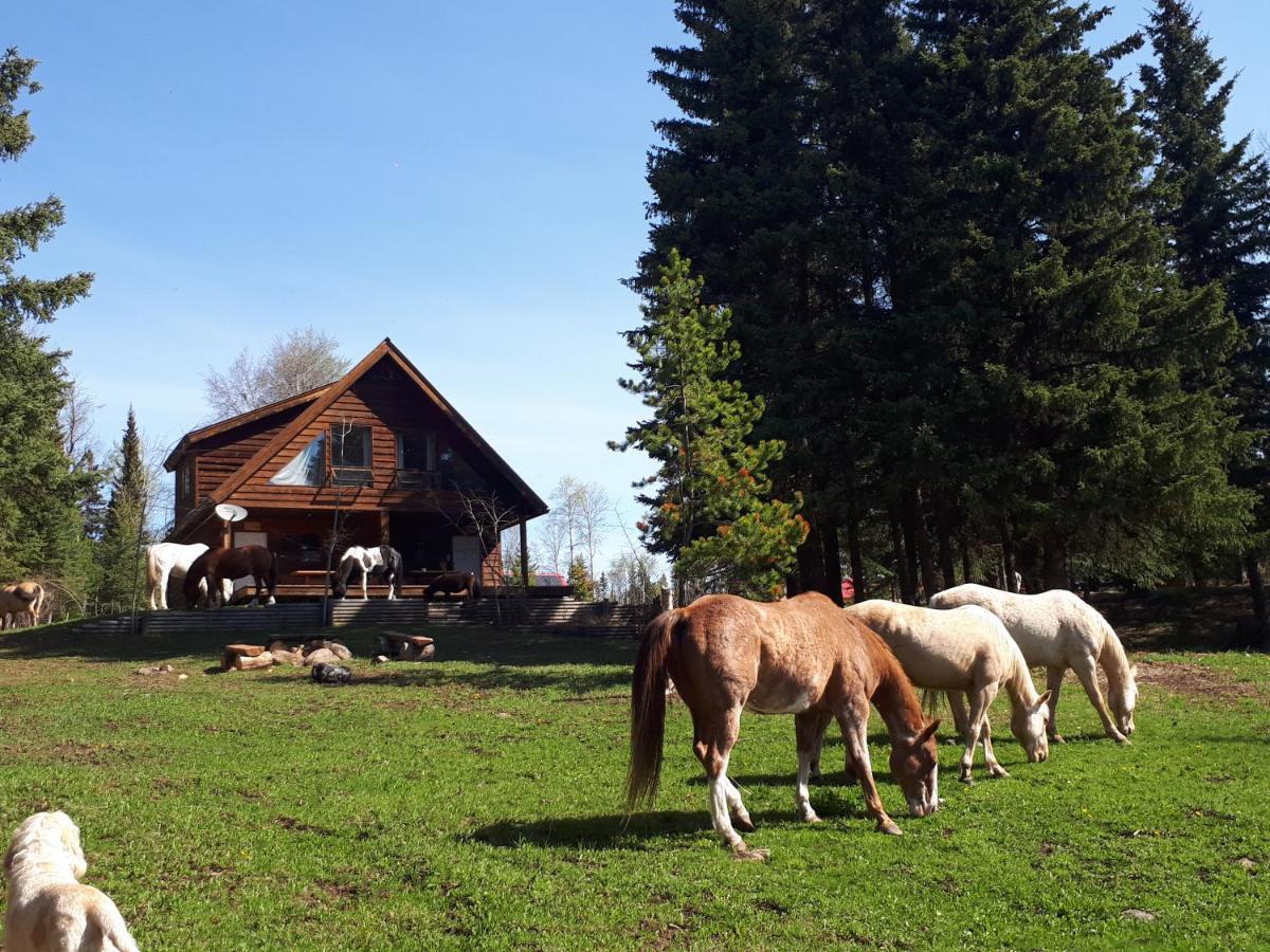 Bed and Breakfast Wettstone Guest Ranch Bridge Lake Екстер'єр фото